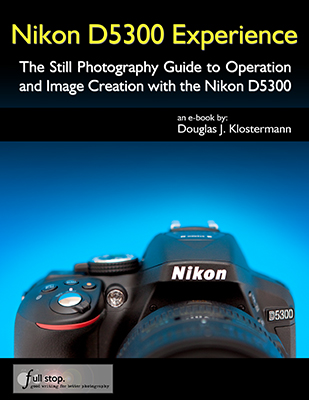 Nikon D5300 book manual guide how to autofocus settings menu custom setup dummies learn use tips tricks quick start