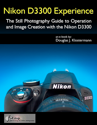 Nikon D3300 book manual guide use learn dummies how to tutorial tips tricks recommend setting setup quick start