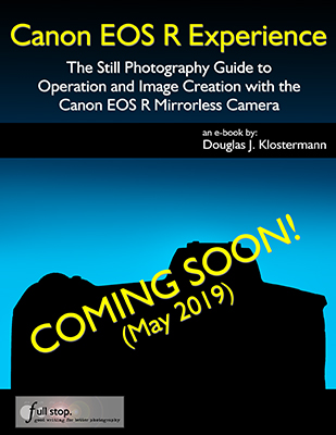 Canon EOS R Experience book manual guide how to tips tricks