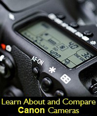 Canon EOS dSLR mirrorless camera review compare